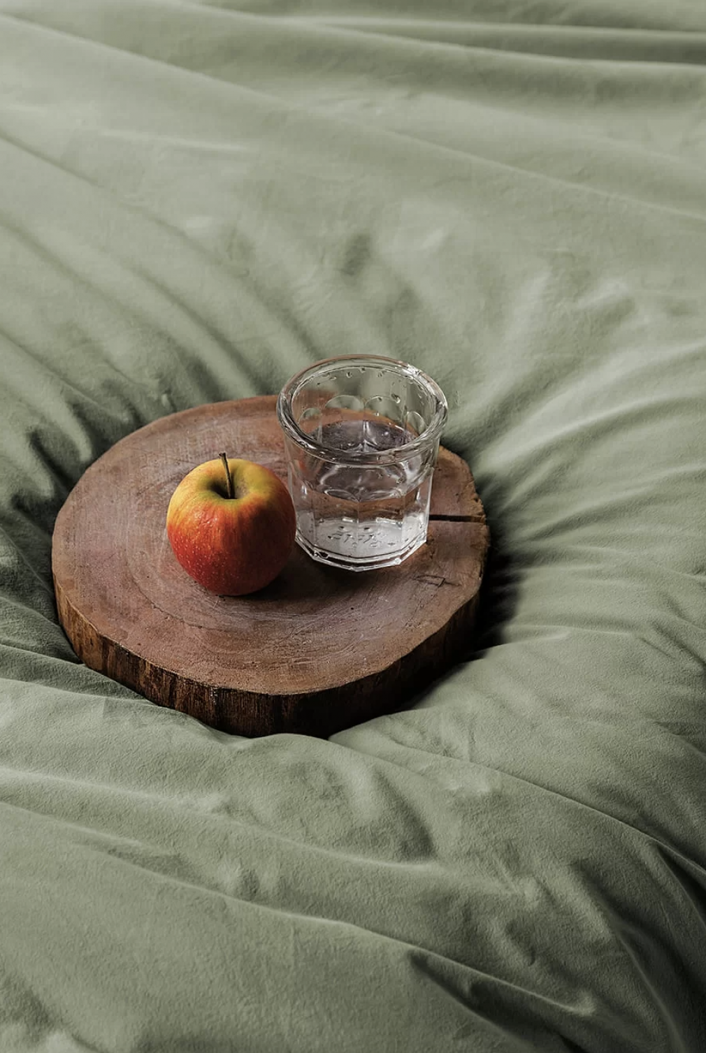 Комплект постільної білизни Issimo Home Savanna Forest євро