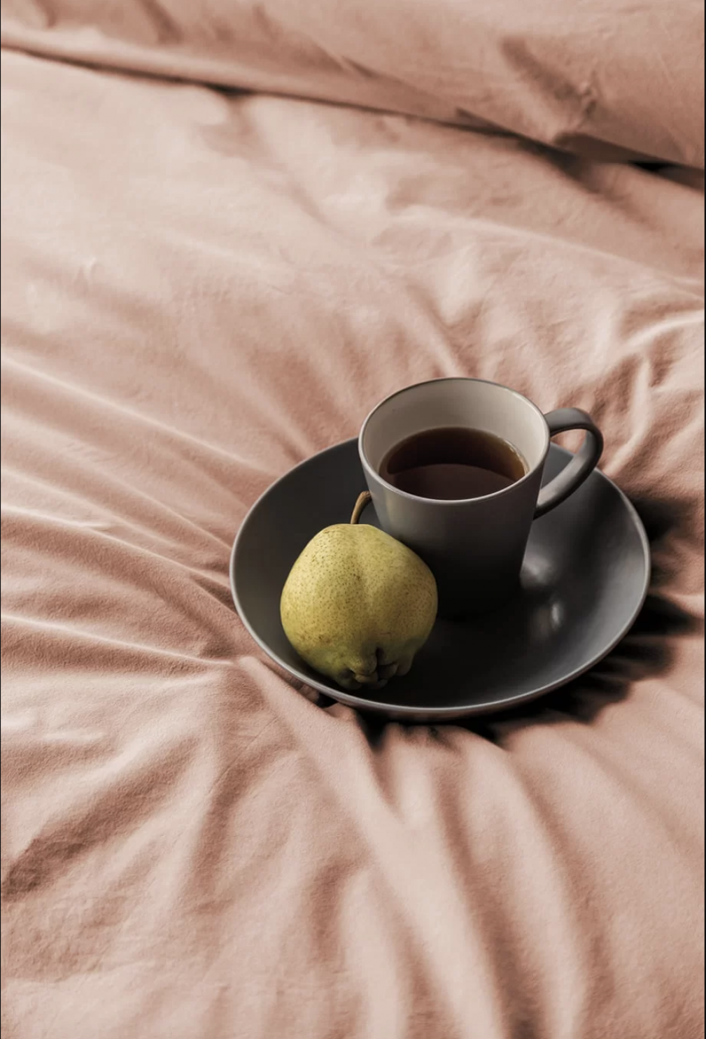 Комплект постільної білизни Issimo Home Savanna Apricot євро
