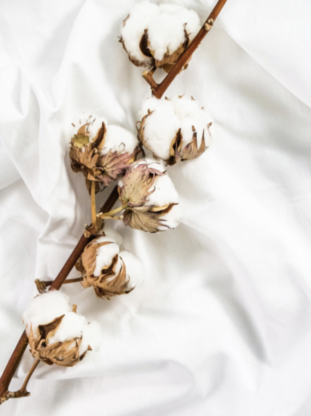 Комплект постільної білизни Issimo Home Pure White 300 TC євро