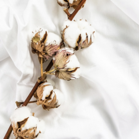 Комплект постільної білизни Issimo Home Pure White 300 TC євро