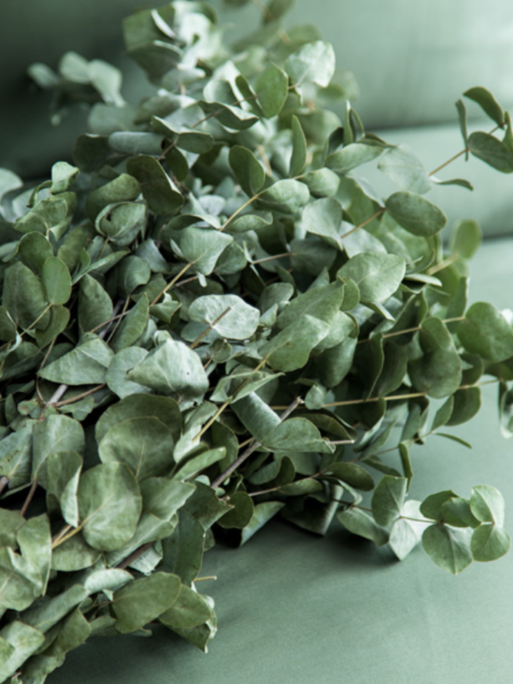 Комплект постільної білизни Issimo Home Simply Forest Green