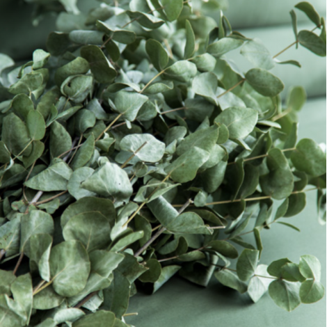 Комплект постільної білизни Issimo Home Simply Forest Green
