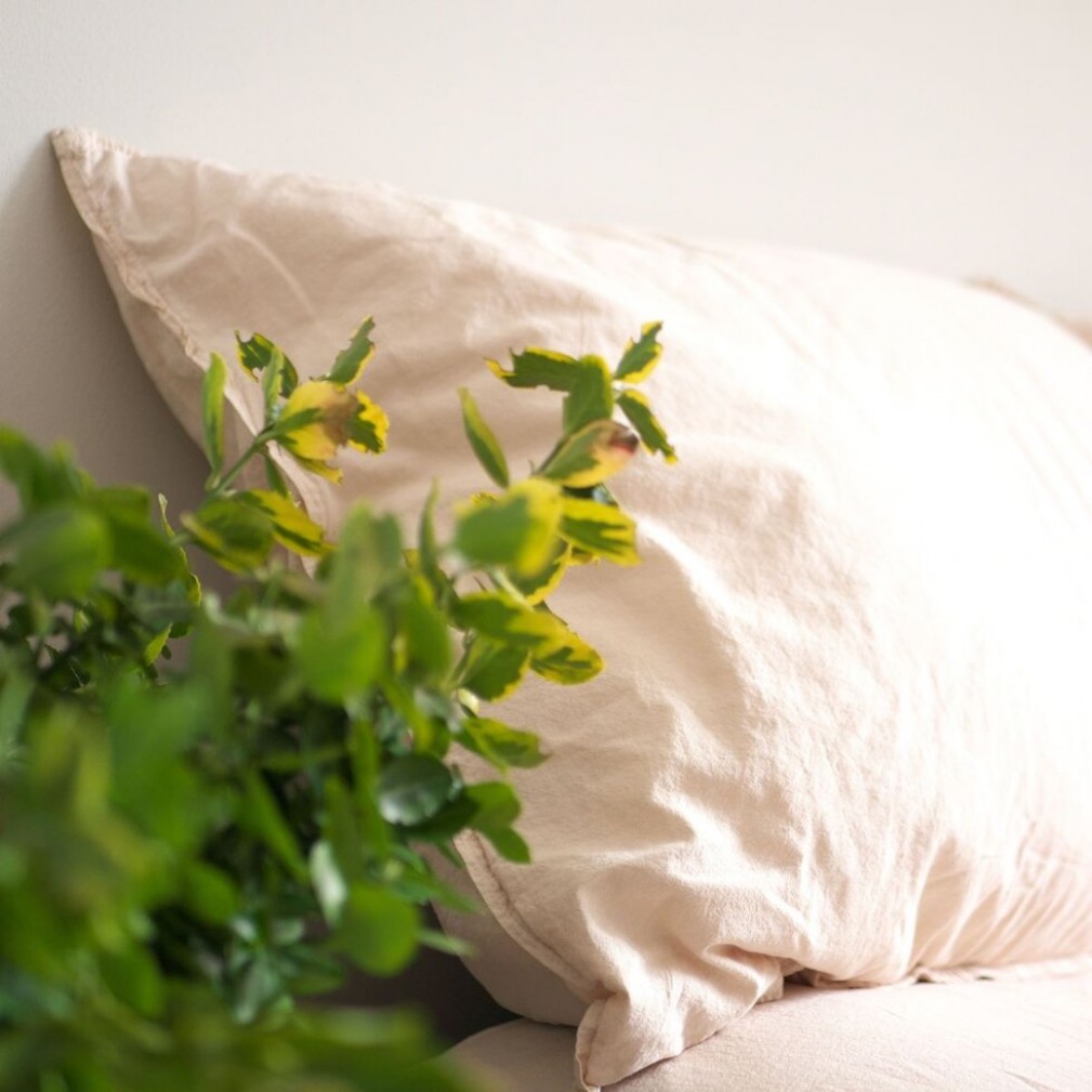 Комплект постільної білизни Limasso Camello Roses Standart