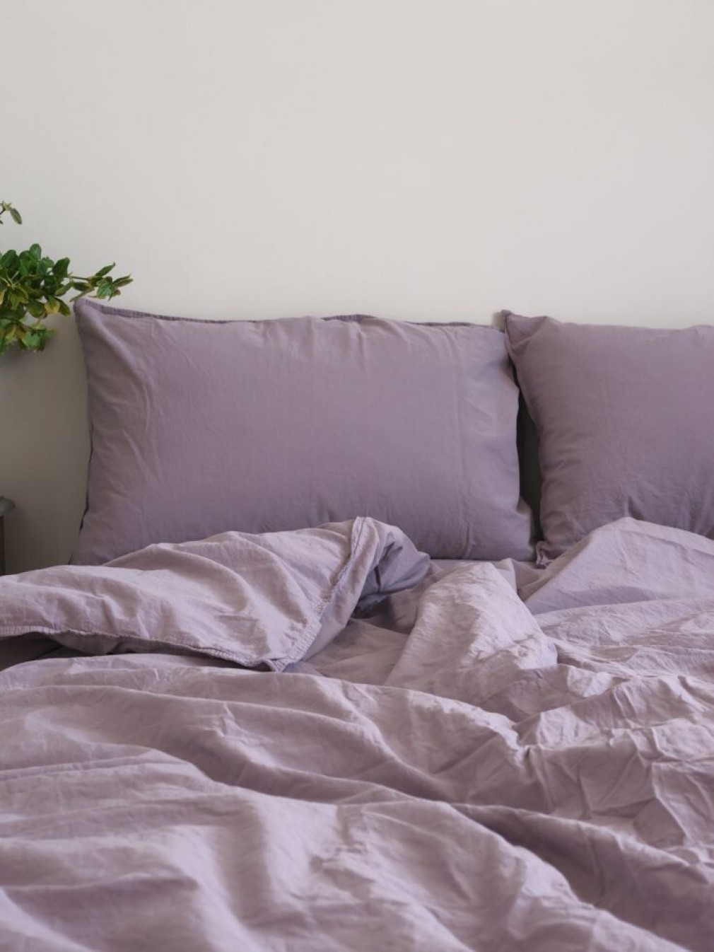 Комплект постільної білизни Limasso Natural Violet Standart